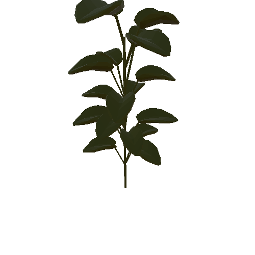 Leafy Plant Tall 3_1